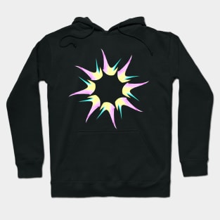 Pink Star Hoodie